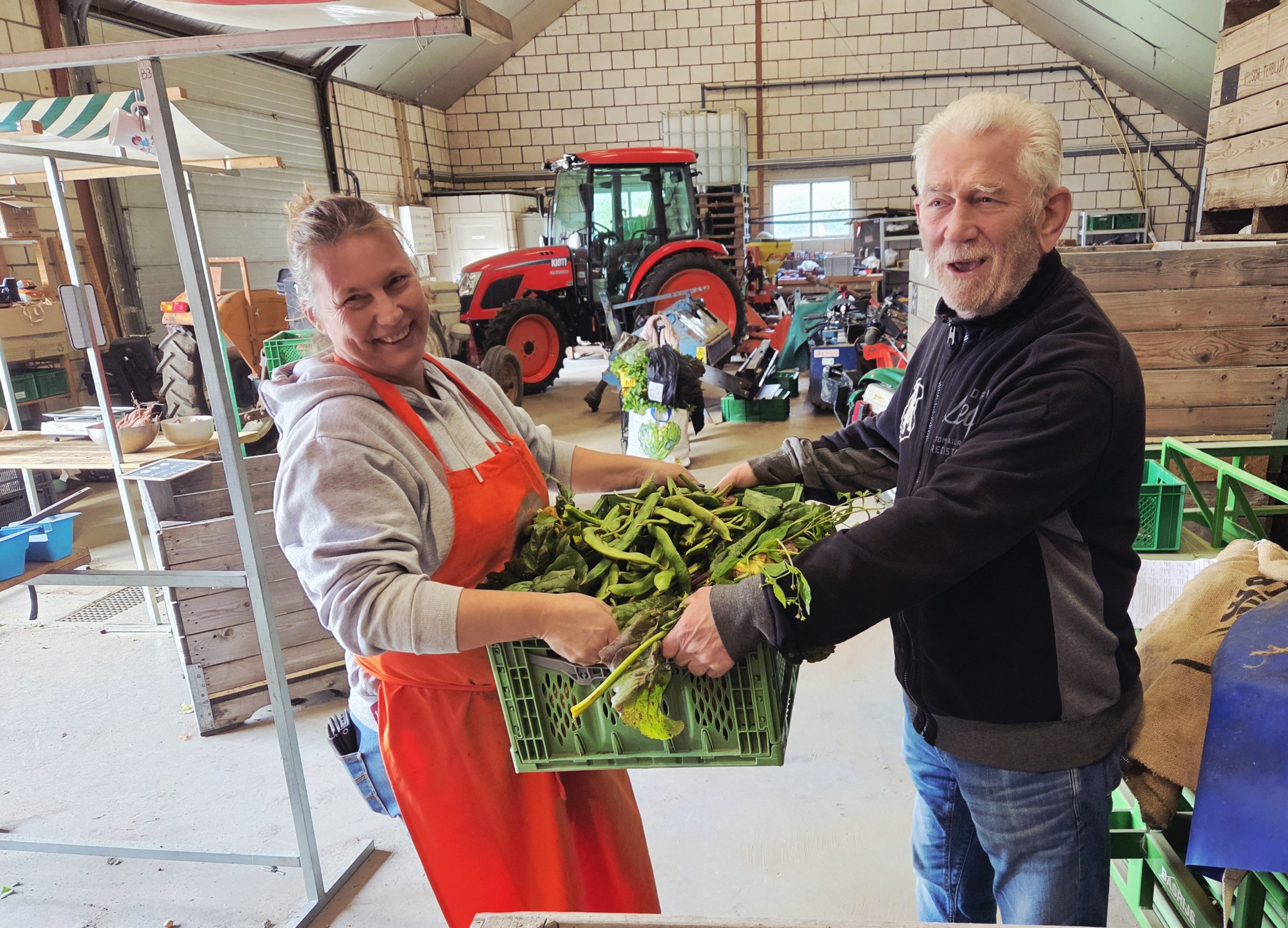 Overhandiging Groenten