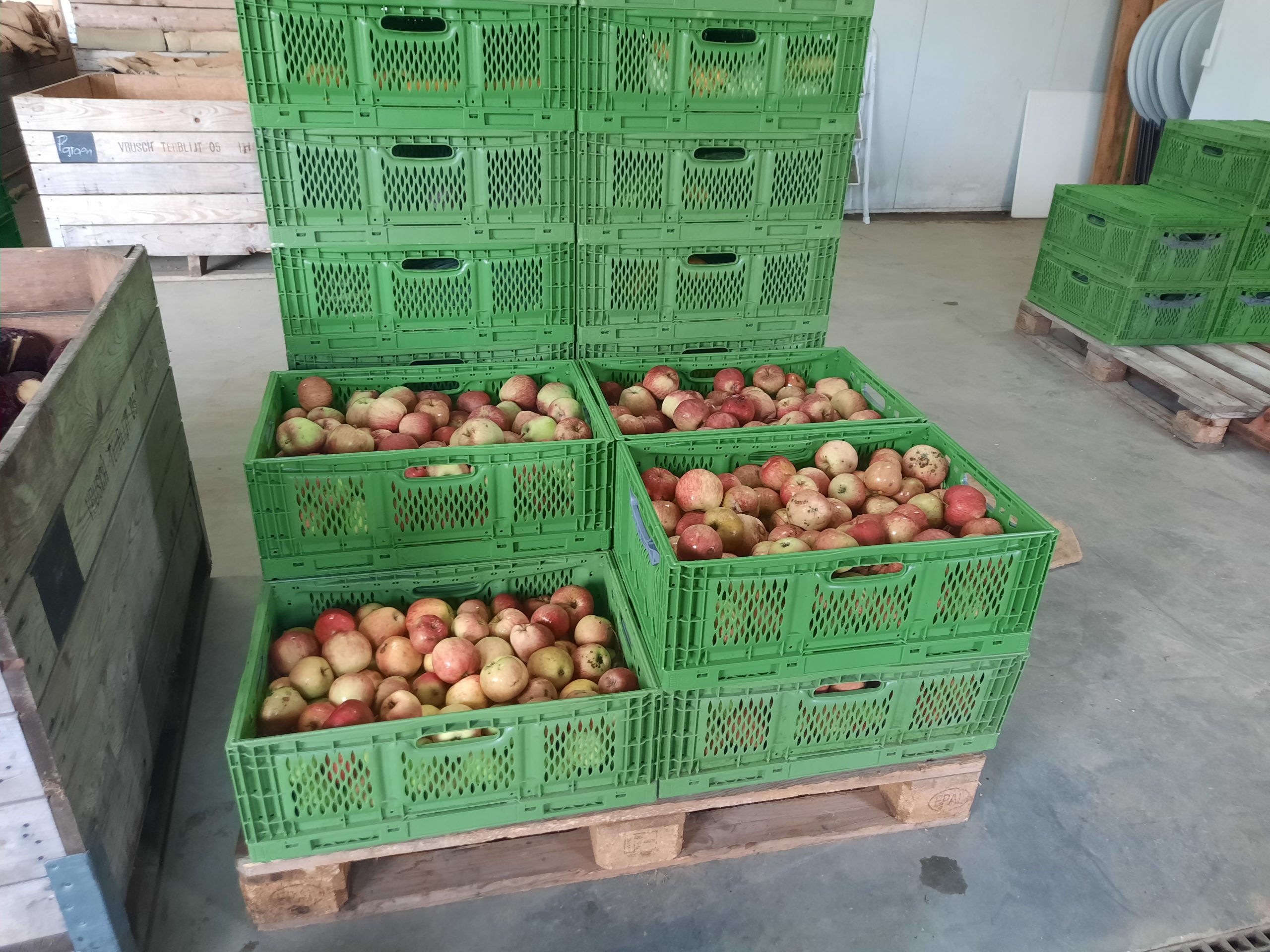 Appelgaard – klaar voor uitgifte Appelgaard - klaar voor uitgifte
